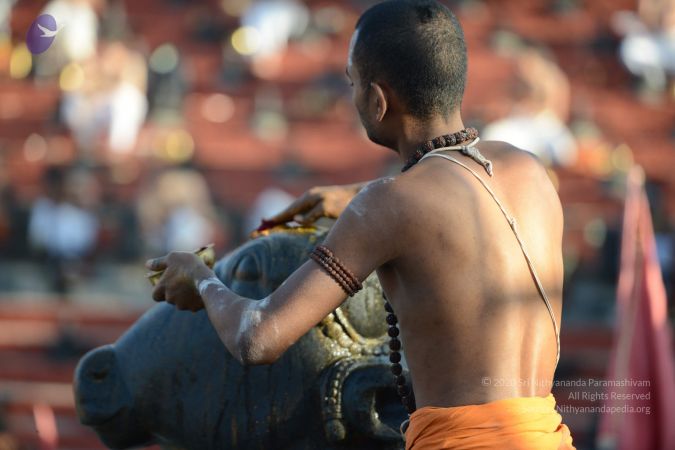 20161122 Photo 1063 1XUeLXgL55-QdyqWcDVa1PTCNOW~kp7z.JPG