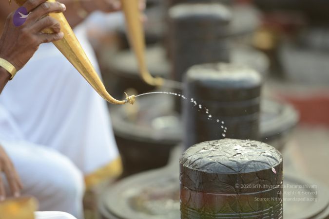 20161124 Photo 1032 1EzHNLHPEfVkMxx5-NwXVKgzOYrMcQO8O.JPG