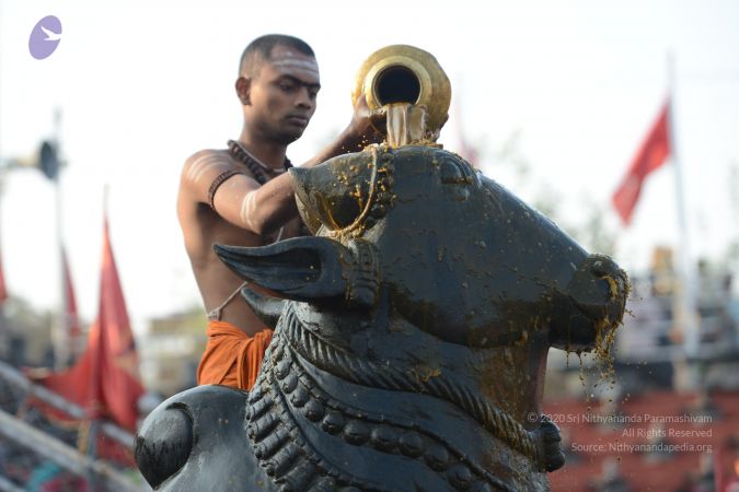 20161124 Photo 1040 1TbVNXURc9im8B5msEvlHoxrifIM1sauj.JPG