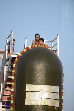 20161124 Photo 1047 1pOSISvwBIG17q4SWROPmARiB0iYNrgB3.JPG