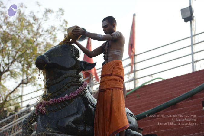 20161126 Photo 1026 1DCmn17QOJaS5Tc6eSoha6XLNffw2miRR.JPG