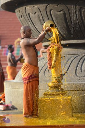 20161126 Photo 1031 1 TjVLX4jOUIhKMWZGjQotEIzwnjaAWeS.JPG