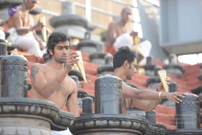 20161126 Photo 1039 1XvNbY6sXmsGbGMfLMIA6WBEu1pItn01O.JPG