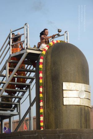 20161126 Photo 1062 1-umbeK9ywOzj9geF-VxmyteFAz-0XnVy.JPG