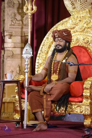 20161126 Photo 1220 1Bz8foTKrC1yHDA2zNFxtptruMNBWMGac.JPG