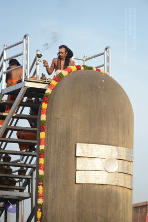 20161127 Photo 1008 1hmh2Fl1V9Sh2IfPZ6pre jxcvtP3YSh3.JPG