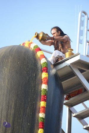 20161127 Photo 1088 1sQBsuG-SRS7UQkxb0m-35B0cbOh98ibN.JPG