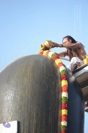 20161127 Photo 1089 1dyEd-lcqHuoO8-B1Bl9mgifPVxY7p5d8.JPG