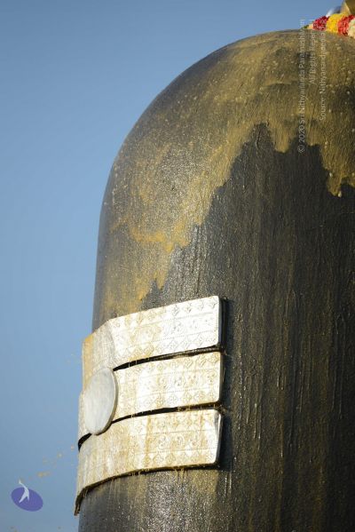 File:20161127 Photo 1091 1IaDOmP7yrWlMKv98AzJlShzwy-cT-pGe.JPG