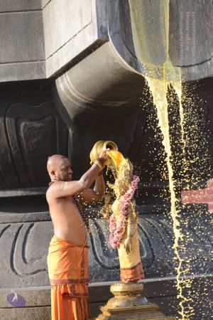 20161127 Photo 1095 1ppYLUudFEVd6pRXU 0t1uKyoZIOJMdFg.JPG