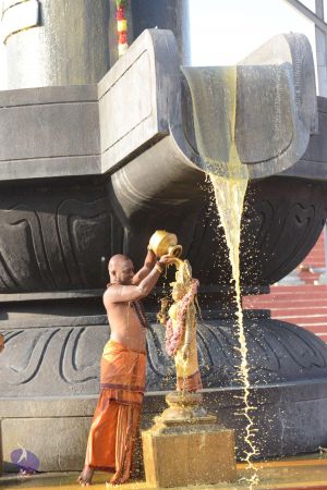 20161127 Photo 1100 1g2OBHXYaNYI8tkJEdVpQnx5mgUQiBQEe.JPG