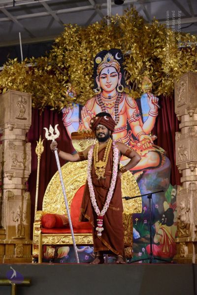 File:20161127 Photo 1310 1YwlEvGrXRm6DcfA-Hf7JP51QLhpFoEJi.JPG