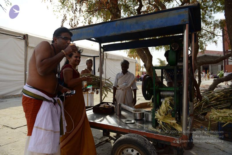 File:20161129 Photo 1027 1nBdHuZH1dKa1EiPMWMpsyWihEdeBBT1y.JPG