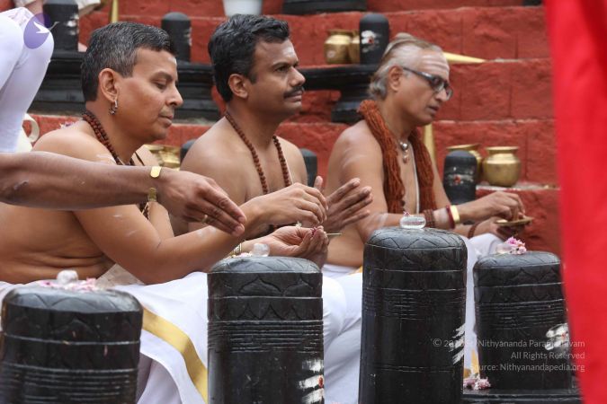 20161202 Photo 1089 1-mAwCTX6PyWCefpvtvGQfEQuFyXVfvG3.JPG