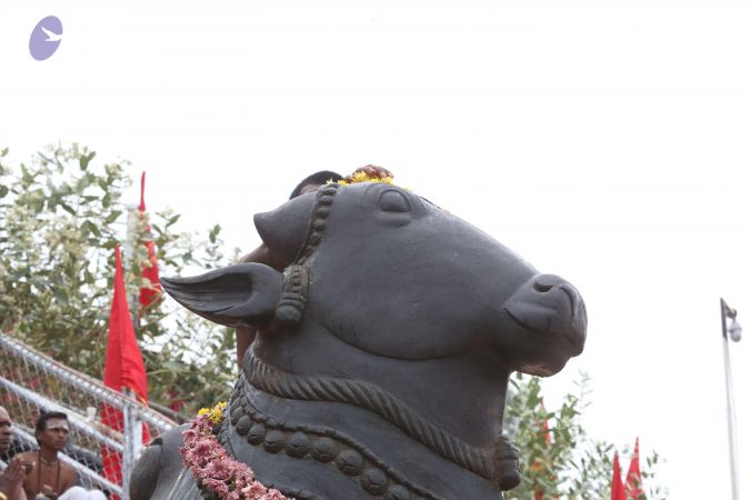 20161202 Photo 1095 1sU-Qm yPUuJ-I3tyGSeB-I5s2VQMJNHn.JPG