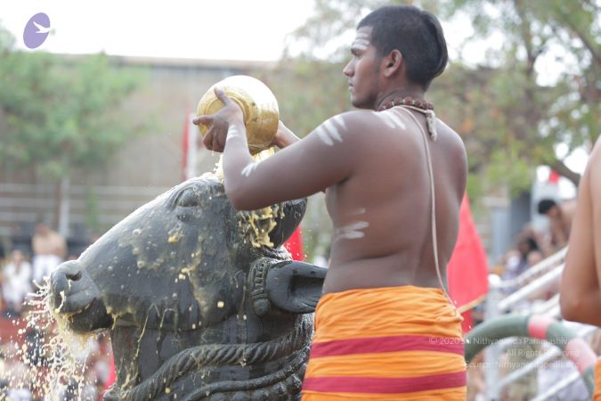 20161202 Photo 1152 1wtJMvBVD4UCKqsmXCMapzWqr4 P6SDoP.JPG