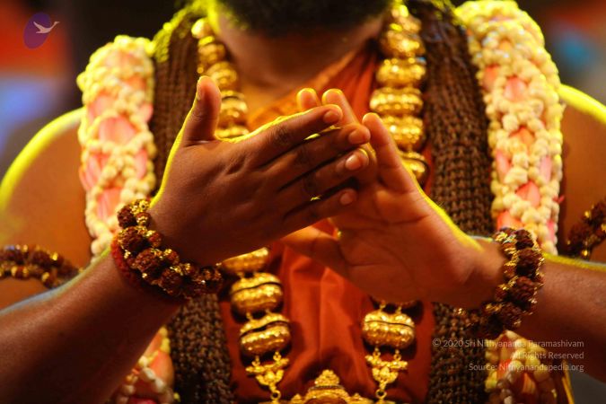 20161202 Photo 1590 1mw-JIBxRT2za8NMb7tY1AkI-GS9vLz9g.JPG