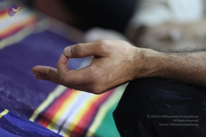 20161202 Photo 1947 17oeEaUOfz M52 qDYi7bP NdFoHeT0rz.JPG