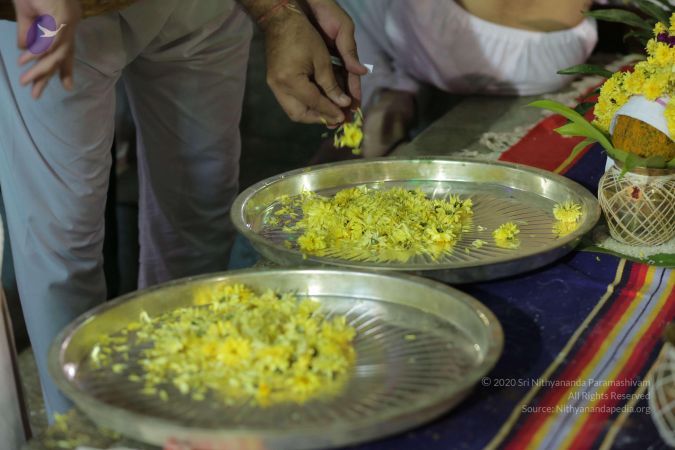 20161202 Photo 2202 1dwZLvX7eWjQ xf8LUDLeGAdMvxEcIe86.JPG