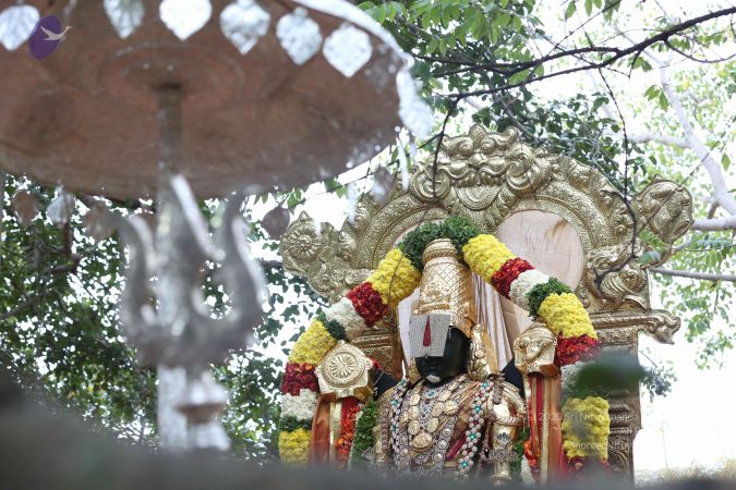 20161203 Photo 1017 1j9dWqwxiLuB38 ad5bnLWc7hh46KF0cd.JPG