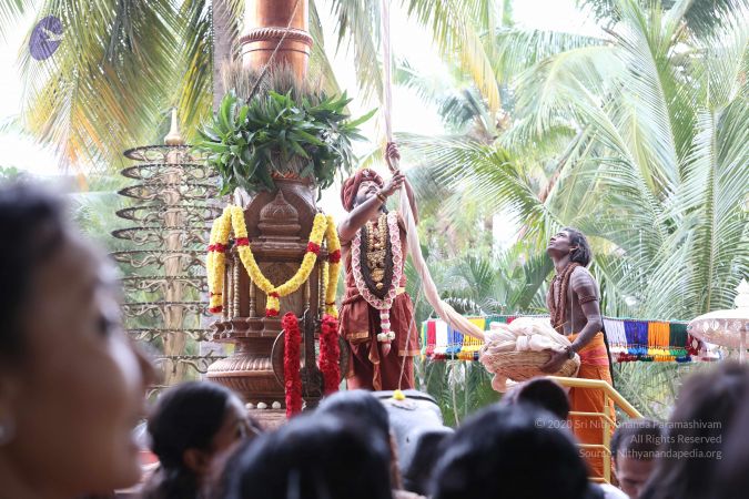 20161203 Photo 1046 1ofE71JUaLrkP cSLZ wj5UkRO9 1qwrl.JPG