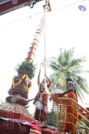 20161203 Photo 1077 1xfs04peuwHm6kW3IFX2qumFNqwAVUKRk.JPG