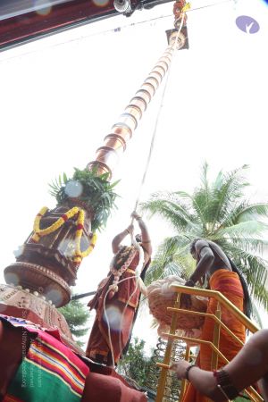 20161203 Photo 1079 1jJASZsGql1J8AJl0YQUYIB4EzQNSl3Yp.JPG