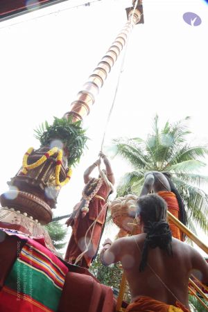 20161203 Photo 1080 1NrCaNdn EI8yLGi1xNiJJnUYjhr5XV4j.JPG