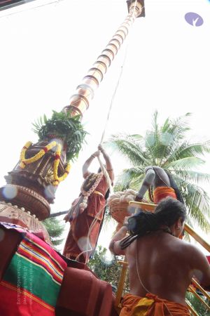 20161203 Photo 1081 1DeLdp ER6i4C0gmnU1s69pzz3c8BsyYx.JPG