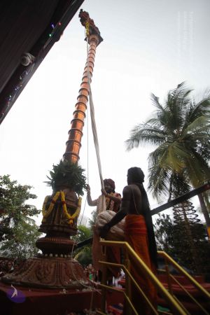 20161203 Photo 1120 1KZpMHSpQha5FfbL9hA3gTfGcWuP06rFr.JPG