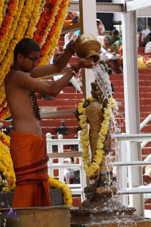 20161203 Photo 1156 1Ir2jfh4i-LyIx03I0diQ9bTNHsLu9gwH.JPG