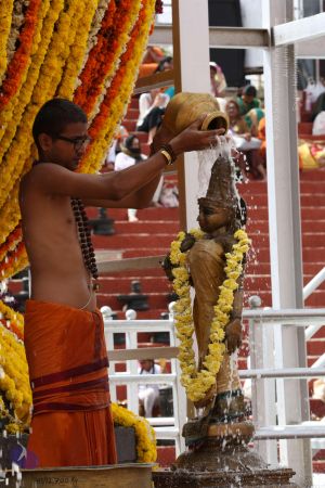 20161203 Photo 1157 1h6pz3VAlKr7CwB5x4rdWjK8Axr 2gnQt.JPG