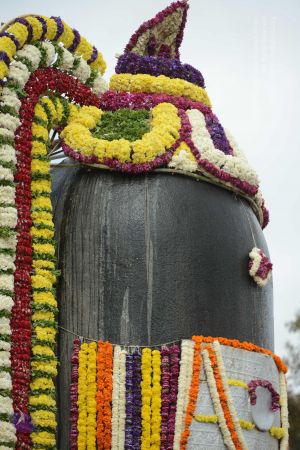 20161203 Photo 1177 1ChCM01UBgMKYxDYvDVSgkrNIkX8210G0.JPG