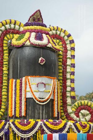 20161203 Photo 1180 1a4O-WzEhRBHXu9ctRib5Fh0clew5WL1j.JPG