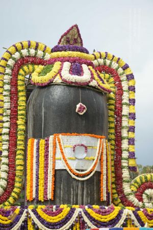 20161203 Photo 1181 11L t7BtWZOTmwZyHDUxmOHST11jVxwSM.JPG