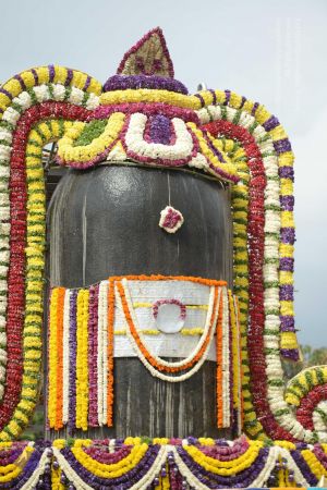 20161203 Photo 1182 1M3176g264vCHe5xY90y2DYUyskbZWeJc.JPG