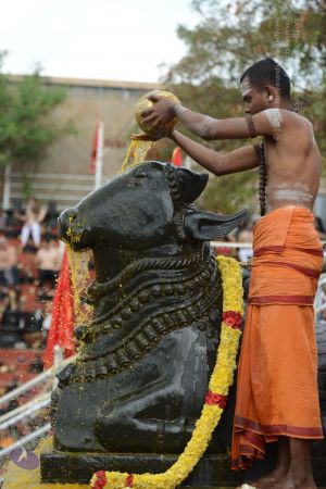 20161203 Photo 1189 1mTTSjv9AJoTuFAysiUL0bLwX8mc2aMtc.JPG