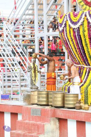 20161203 Photo 1233 1K0mg0z85jNUspUhBI8BW7iSQoKbCZQew.JPG