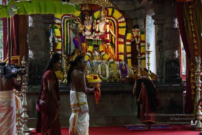 20161203 Photo 1410 14uNjPFjd1L1wMI6-9HbkHFVU-Ms21zBo.JPG