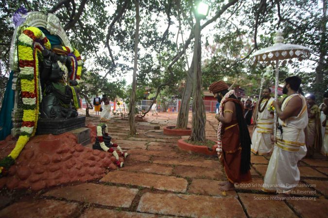 20161203 Photo 1630 177y08iXq5gCY3mM1FPUcYCvRtHvDiVzB.JPG