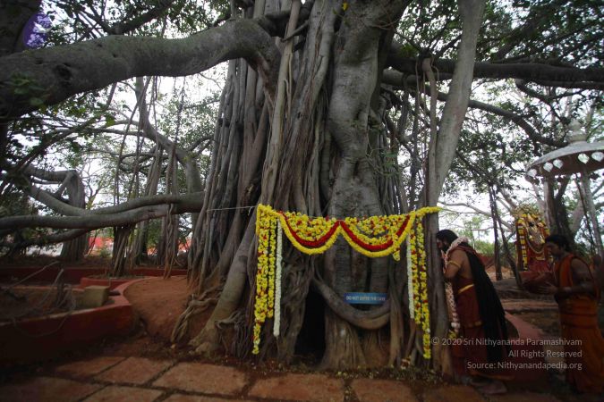 20161203 Photo 1635 15wfUec0rL4DsJJ-ZqrrBkSo2YI2c12xY.JPG