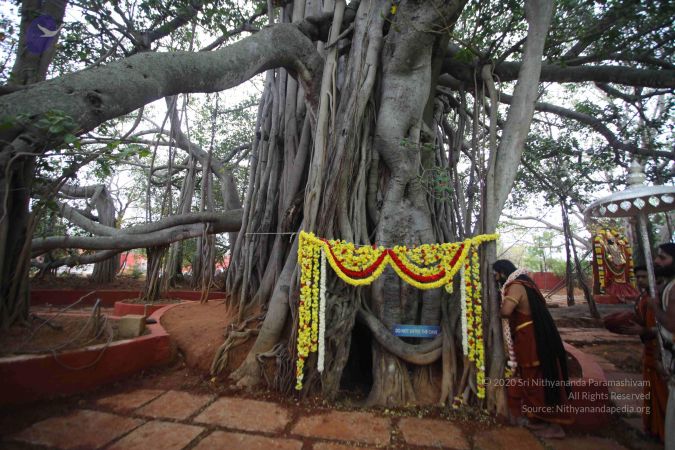 20161203 Photo 1638 19QkogRaFef6ynGw9ZVp7jQR-XKfBWPcI.JPG