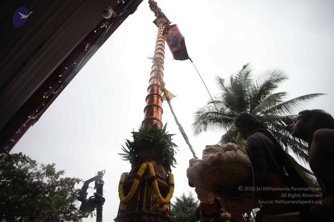 20161203 Photo 1689 1vJH0DV2VZioA4FcxVgNl5IjJ9sv87cHl.JPG