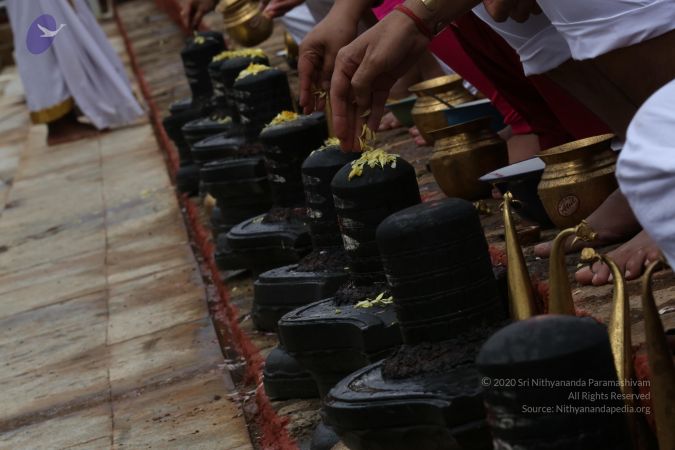 20161203 Photo 1851 1yRwedKc CqUd-ja6V4r1rvyFT3Qu5kMd.JPG