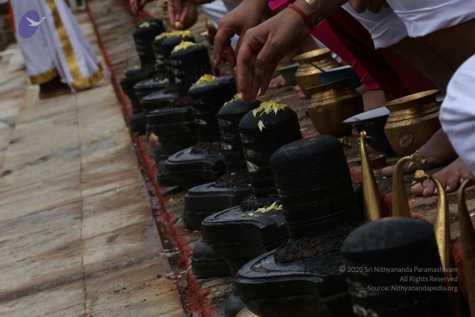 20161203 Photo 1852 1XKFt7NWS6UwHhxAbesZuJy~5sdUwmVi.JPG