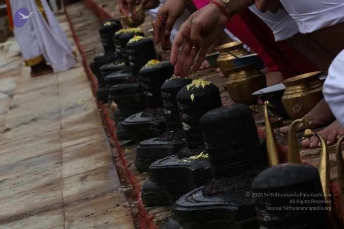 20161203 Photo 1854 1fGYNqtg20QJTEvr1GKbTc0Xyd4MwJNDL.JPG