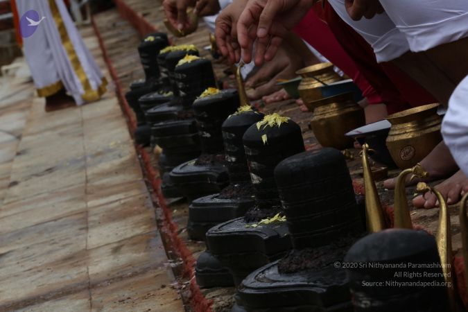 20161203 Photo 1855 1bovc9BprXlzDIX4-kxXri0HpQ6MstIEN.JPG