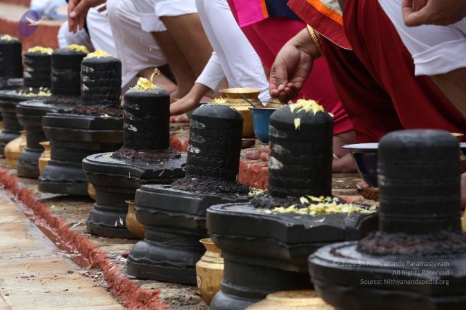 20161203 Photo 1859 1x8jez8XlWC2CQT9E0imXvhBUy33YsAQU.JPG