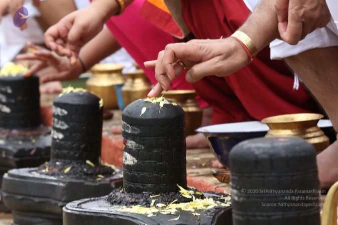 20161203 Photo 1868 1nwDb851bgdGbEMqFh40aAjrG KYK-71o.JPG