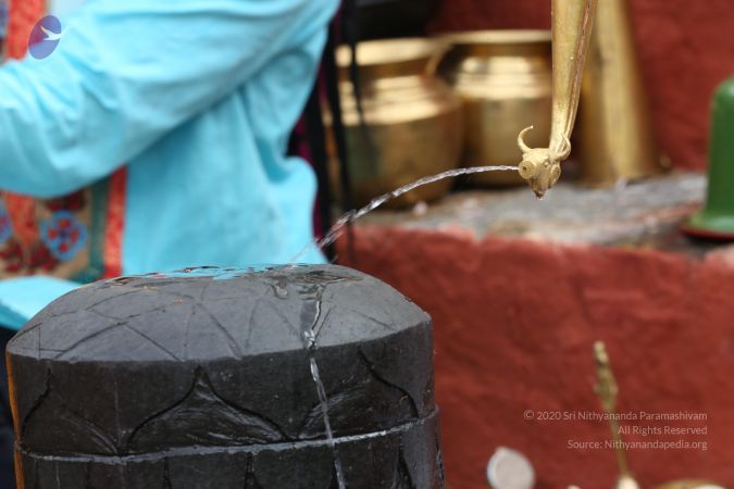 20161203 Photo 1902 1kjkkyBLvJOVtmdA4NKPCjLRCpgJsKnz5.JPG